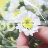 Various Top Sell Chrysanthemum Flower From China thumbnail-2