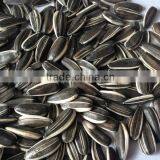 Whats App to Sell Sunflower Seed, Sunflower Seeds Price thumbnail-1