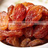 All Types of Raisins Golden Raisin Exporters thumbnail-3