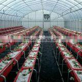 Greenhouse for Horticultural Greenhouse for Vegetable Green Houses Material thumbnail-6