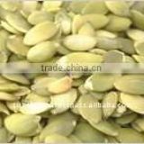 High Quality Dried Common Pumpkin Kernel for Sale