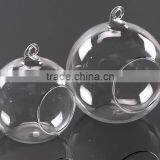 Clear Glass Vase Globe Glass Landscape Bottle Beautiful thumbnail-3