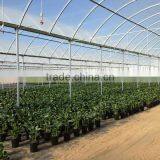 Greenhouse Plastic Film for Agriculture thumbnail-2