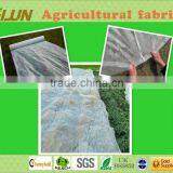 PP Nonwoven Fabric Polyethylene Fabric Non Woven thumbnail-6