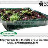 PE Vegetable Planting Bag,Vegetable Grow Bag