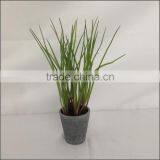Artificial Table Decorative Potted Small Grass Plant thumbnail-2