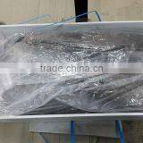 Patagonian Toothfish thumbnail-5