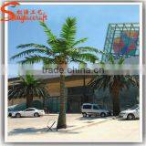Factory Hot Sale Process Outdoor Artificial Palm Tree,coconut Palm Trees, Simulation Palm Coconut Tree thumbnail-2
