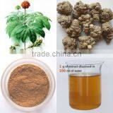 Farmers Supply Wenshan Sanchi Radix Notoginseng 30 PCS /500 G thumbnail-5