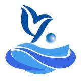 BOWShine Technology Trade Co., Limited company overview - view 1 thumbnail