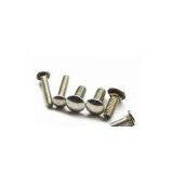 Carriage Bolts