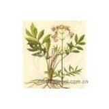 Valerian Extract(rossonl@huacheng-biotech.com)