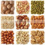 Commercial Walnut / Peanut / Almond / Macadamia Nut / Hazelnut Roaster With Low Price and High Quality thumbnail-4