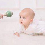 Newborn Sand Hammer thumbnail-4