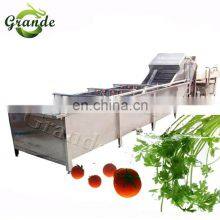 Conveyor Belt Tomato Washing Machine