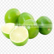 TOP FOOD FAMOUS FOR VIIET NAM GREEN LEMON HIGH QUALITY WITH BEST PRICE thumbnail-4