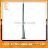 Made In China Galvanized Concrete Nails/Steel Nails thumbnail-6