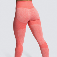 YYBD-0023,The Spot Goods Seamless Hip Wicking Sweat Sportswear Fitness Pants Show Buttock Women Yoga Leggings thumbnail-2