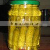 Top Quality Pickled Cucumber thumbnail-1