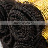 Double Drawn Virgin Russian Remy Hair Hand Tied Hair Weft thumbnail-3