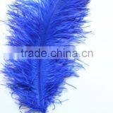 28"-30" Wholesale Bulk Blue Ostrich Feather For Wedding Table Decoration thumbnail-5