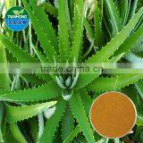 Herbal Aloe Extract /Polysaccharide, Aloin, Acemannan