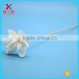 2015 New Design Sola Flower Reed Diffuser/reed Diffuser Flower/sola Wood Flower thumbnail-5