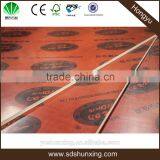 Hong yu 18mm marine plywood prices with high quality from shandong shunxing GROUP China manufacturers