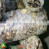 Anti-cancer Organic Wholesale Competitive Shiitake Mushroom Export Price thumbnail-4