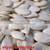 Pumpkin Seeds thumbnail-1