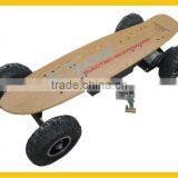 2012 Electric Skateboard 800w