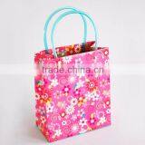 Paper Bag With Plastic Tube Handle,Custom Shopping Paper Bag,Shopping Gift Paper Bag thumbnail-1