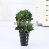 Bonsai Tree Artificial