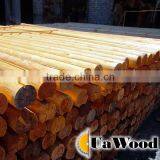 Logs for houses and poles