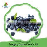 Frozen Natura Lflavour Blueberry thumbnail-1