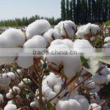 Online Shopping China Plant Growth Regulator 98% TC Mepiquat Chloride thumbnail-4