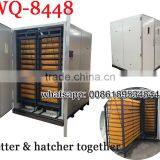 Cheap Egg Incubator Large 8448pcs Poultry Egg Incubator Used