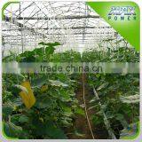 Good Quality Multi-span Agriculture Greenhouse thumbnail-2