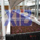 Nursery and Seedling Greenhouse for Young Plant thumbnail-1