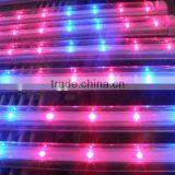 Led Grow Light Full Spectrum 2017 for Hydroponic Vertical Indoor,tissue Culture Banana Plant Light thumbnail-3
