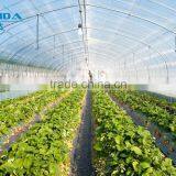 Hot Sale Galvanized Pipe With Plastic Film Greenhouse for Crops or Commercial Use thumbnail-4