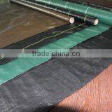 Weed Control thumbnail-6