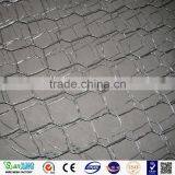 Hot Dipped Galvanized Gabion Box Hexagonal Wire Netting thumbnail-2