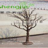 SJLJ0568 Decorative Artificial Tree Without Leaves on Trunk/ Safe and Durable Artificial Dry Tree