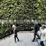 artificial plant wall landscaping