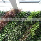Best Price Natural Looking Artificial Plant Wall,artificial Green Wall, Artificial Flower Wall thumbnail-2