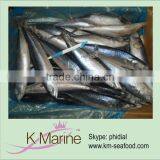 Frozen Mackerel wr Prices thumbnail-1