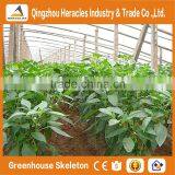 Heracles Trade Saaurance Good Quality uv Plastic Poly Tunnel Greenhouse for Sale thumbnail-4
