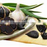 Buy Black Garlic,Fermented Garlic,Organic Black Garlic thumbnail-1