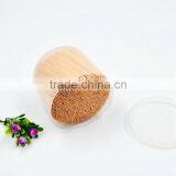 TH-055 Wholesale Plasitc Big Bootle Wrappped Disposable Toothpick in Bulk thumbnail-4